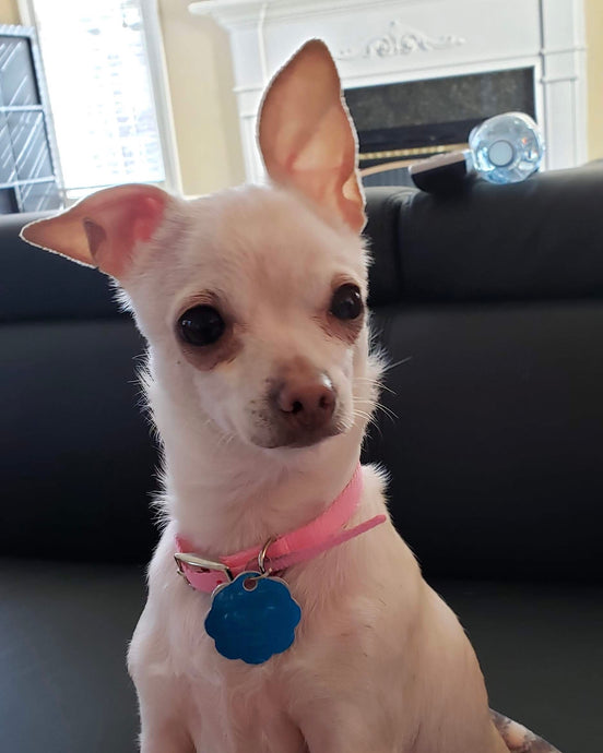 Meet Pinky!