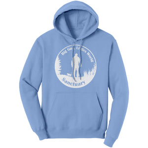 Sanctuary Logo Hoodie