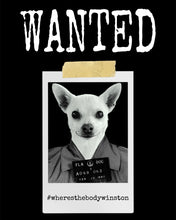 Load image into Gallery viewer, Wanted Winston Unisex Lightweight Hoodie