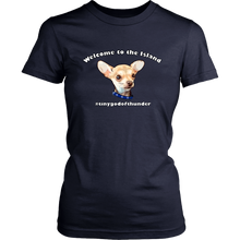 Load image into Gallery viewer, Women&#39;s District T-Shirt (additional colors available)