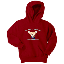 Load image into Gallery viewer, Youth hoodie