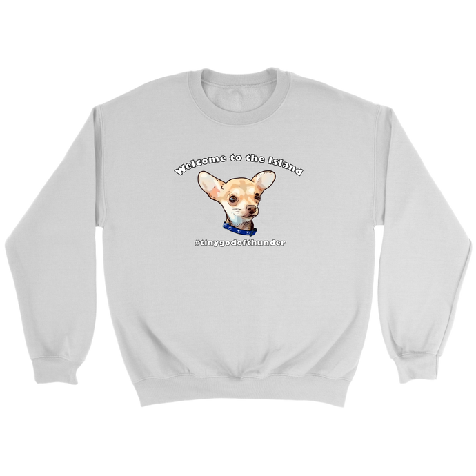 Unisex Crewneck Sweatshirt (additional colors available)