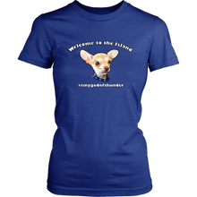 Load image into Gallery viewer, Women&#39;s District T-Shirt (additional colors available)