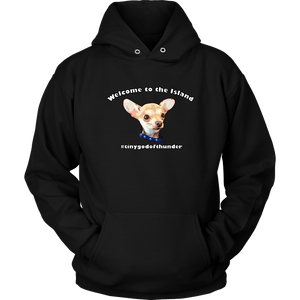 Unisex Hoodie (additional colors available)