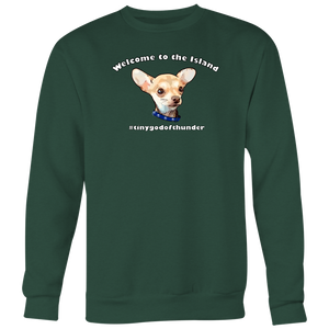 Men's Crewneck Sweatshirt (Additional Colors Available)