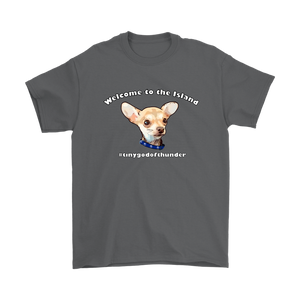 Men's Gildan T-Shirt (additional colors available)