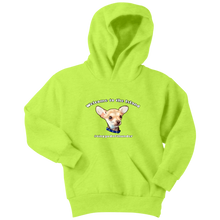 Load image into Gallery viewer, Youth hoodie