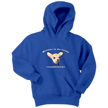 Load image into Gallery viewer, Youth hoodie
