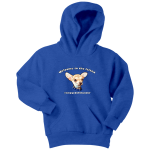 Youth hoodie