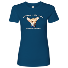 Load image into Gallery viewer, Women&#39;s Next Level T-Shirt (additional colors available)