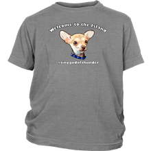 Load image into Gallery viewer, Youth T-shirt