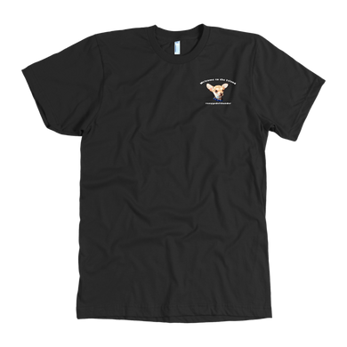 Men's American Apparel Slim Fit T-Shirt (Additional Colors Available)