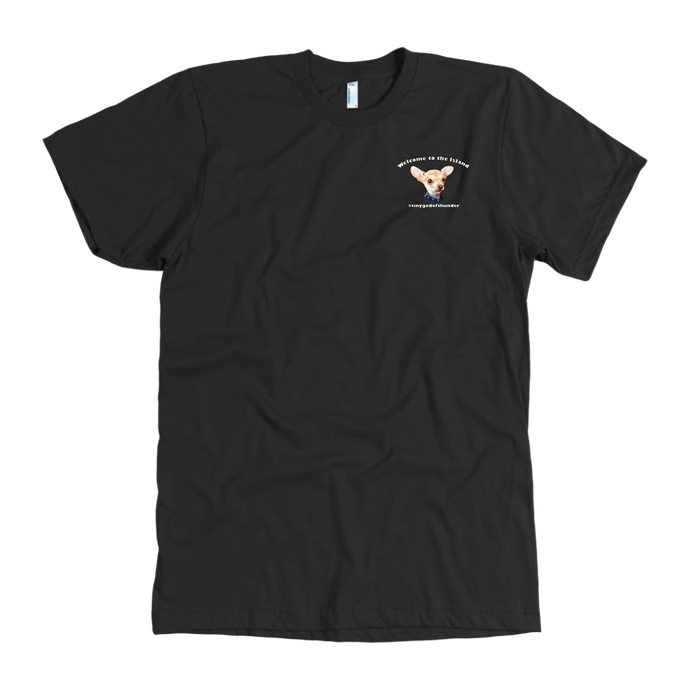 Men's American Apparel Slim Fit T-Shirt (Additional Colors Available)
