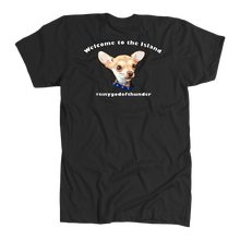 Load image into Gallery viewer, Men&#39;s American Apparel Slim Fit T-Shirt (Additional Colors Available)