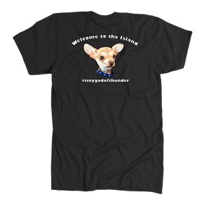 Men's American Apparel Slim Fit T-Shirt (Additional Colors Available)