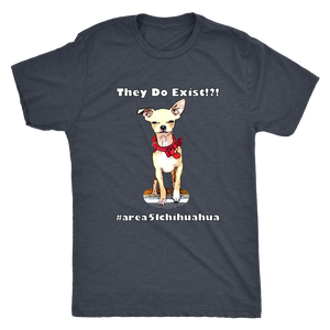 Men's Next Level Triblend T-Shirt (Additional Colors Available)