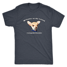 Load image into Gallery viewer, Men&#39;s Next Level Triblend T-Shirt (additional colors available)