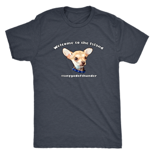 Men's Next Level Triblend T-Shirt (additional colors available)