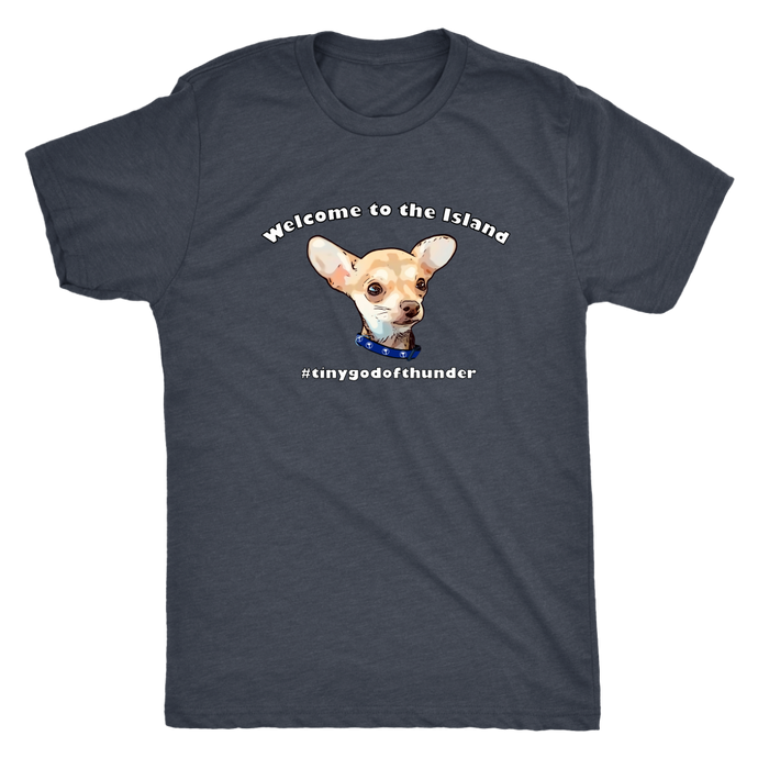 Men's Next Level Triblend T-Shirt (additional colors available)