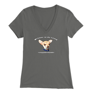 Women's Bella V-Neck T-Shirt (Additional Colors Available)