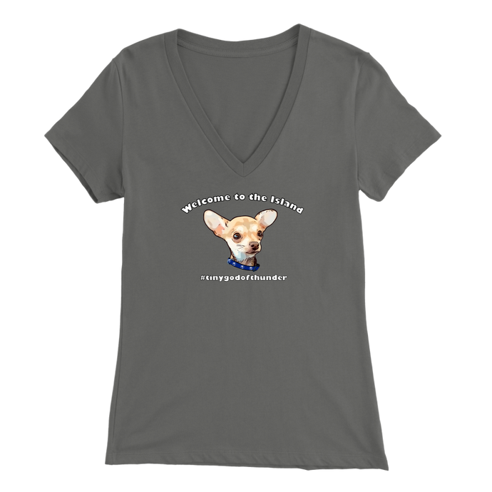 Women's Bella V-Neck T-Shirt (Additional Colors Available)