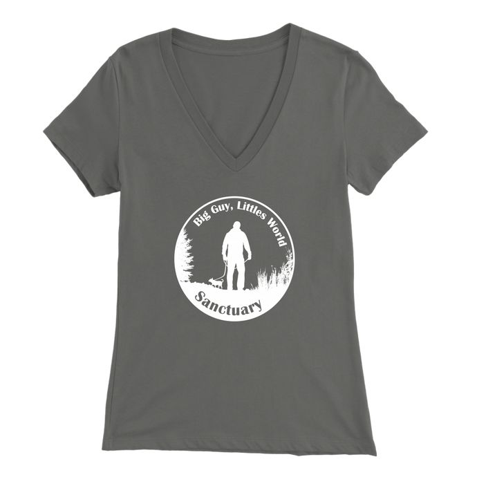 Women's Bella V-Neck T-Shirt (Additional Colors Available)