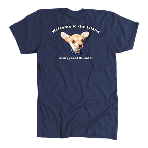 Men's American Apparel Slim Fit T-Shirt (Additional Colors Available)