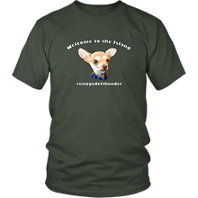 Load image into Gallery viewer, Unisex District T-Shirt (additional colors available)