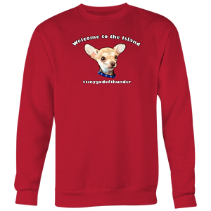 Men's Crewneck Sweatshirt (Additional Colors Available)