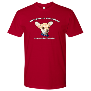Men's Next Level T-Shirt (additional colors available)