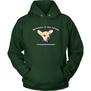 Unisex Hoodie (additional colors available)