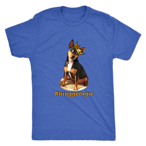 Men's Next Level Triblend T-Shirt (additional colors available)