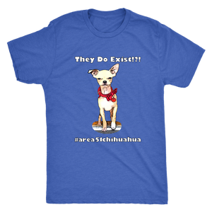 Men's Next Level Triblend T-Shirt (Additional Colors Available)