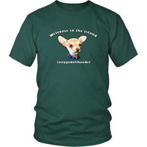 Unisex District T-Shirt (additional colors available)
