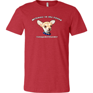 Unisex Canvas T-Shirt (additional colors available)