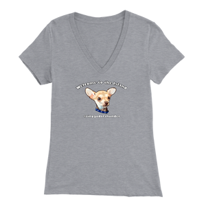 Women's Bella V-Neck T-Shirt (Additional Colors Available)