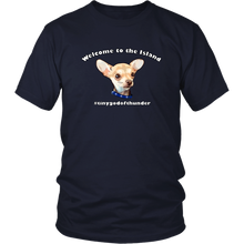 Load image into Gallery viewer, Unisex District T-Shirt (additional colors available)
