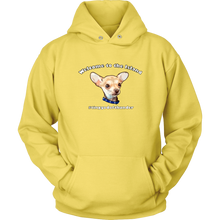Load image into Gallery viewer, Unisex Hoodie (additional colors available)