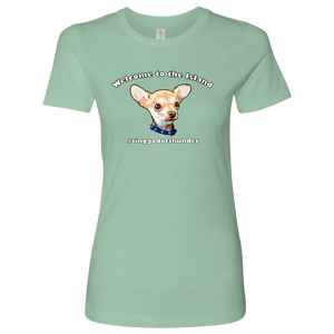 Women's Next Level T-Shirt (additional colors available)