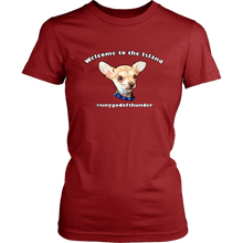 Load image into Gallery viewer, Women&#39;s District T-Shirt (additional colors available)