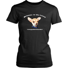 Load image into Gallery viewer, Women&#39;s District T-Shirt (additional colors available)