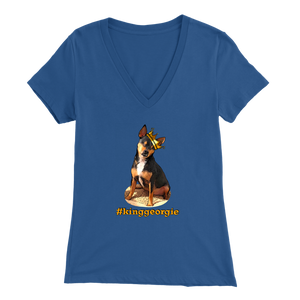 Women's Bella V-Neck T-Shirt (Additional Colors Available)