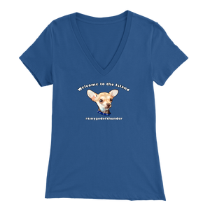 Women's Bella V-Neck T-Shirt (Additional Colors Available)