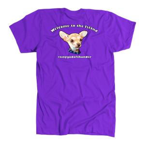 Men's American Apparel Slim Fit T-Shirt (Additional Colors Available)