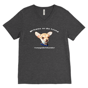 Men's Canvas V-Neck T-Shirt (additional colors available)