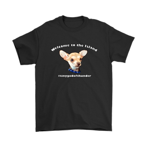 Men's Gildan T-Shirt (additional colors available)