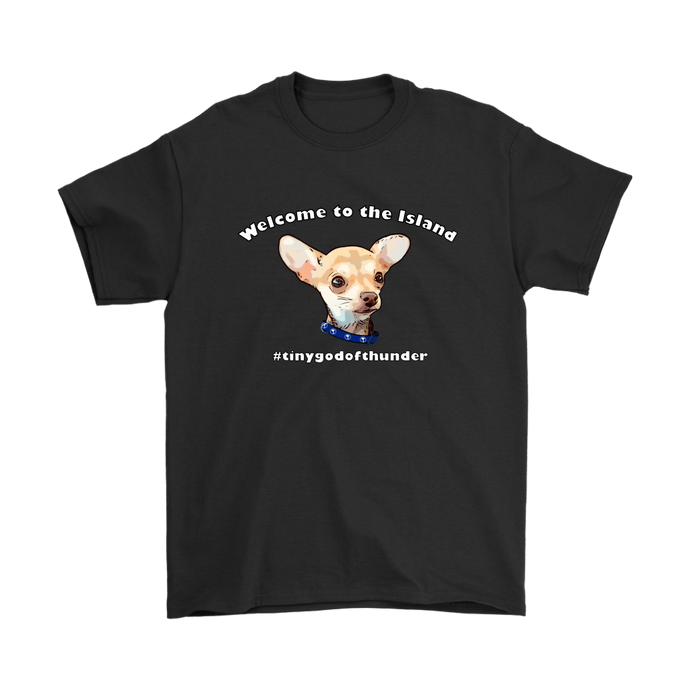Men's Gildan T-Shirt (additional colors available)