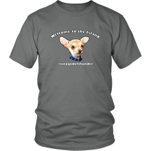 Load image into Gallery viewer, Unisex District T-Shirt (additional colors available)