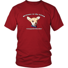 Load image into Gallery viewer, Unisex District T-Shirt (additional colors available)