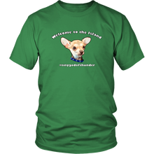 Load image into Gallery viewer, Unisex District T-Shirt (additional colors available)